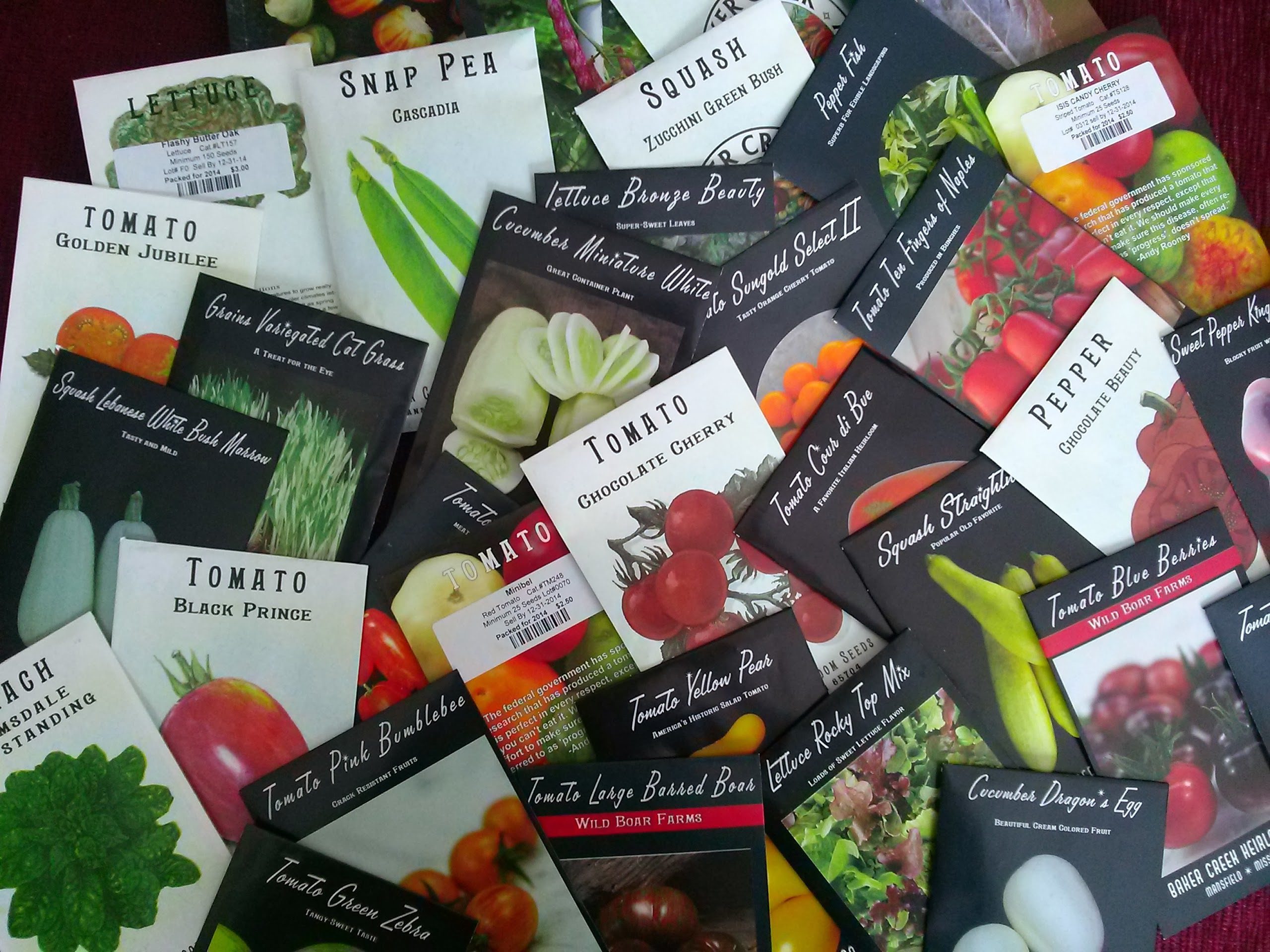 A Glossary to Seed Starting