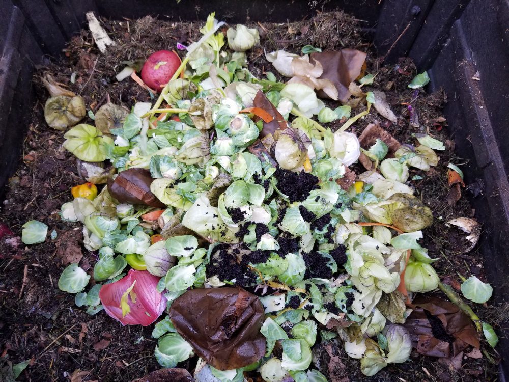 Kitchen scraps in the compost pile | The Coeur d Alene Coop