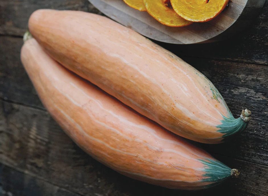 Candy Roaster winter squash
