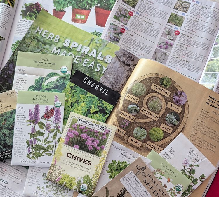 open seed catalog with seed packets scattered around