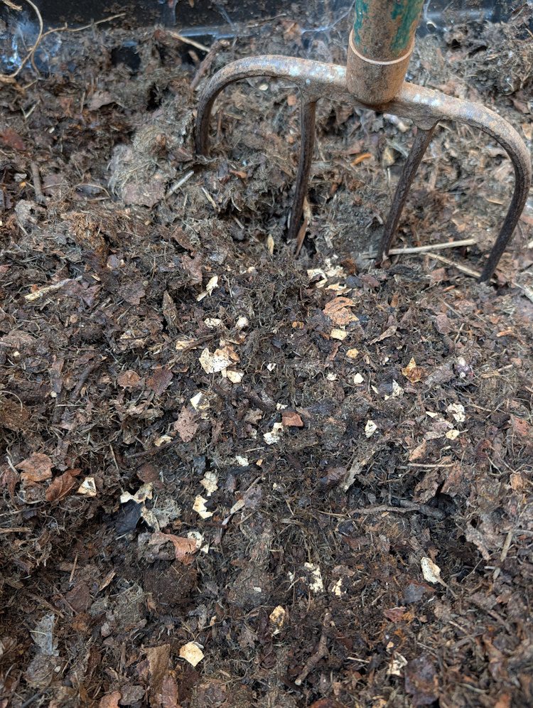 bits of eggshell in compost