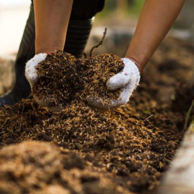 Episode #3: Two Great Soil Amendments for the Fall Garden