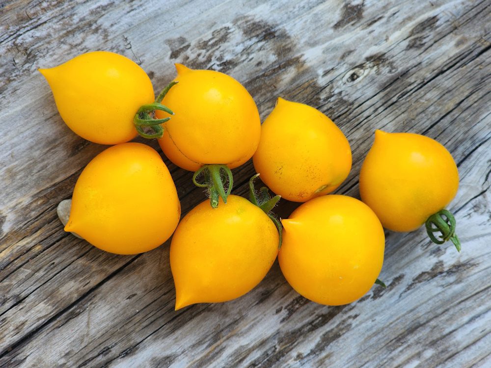 lil' peeps cherry tomato