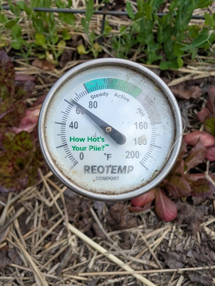 soil thermometer in the soil