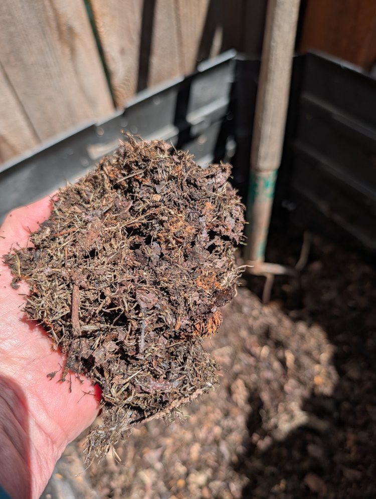compost in a person's hand
