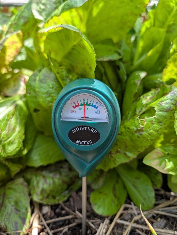 moisture meter placed in the garden